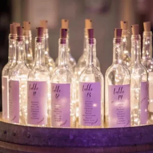 Bouteilles lumineuses