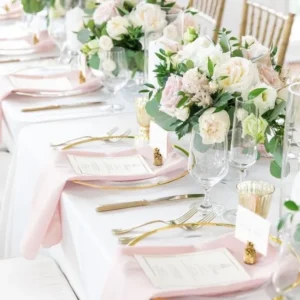 Serviette de couleur