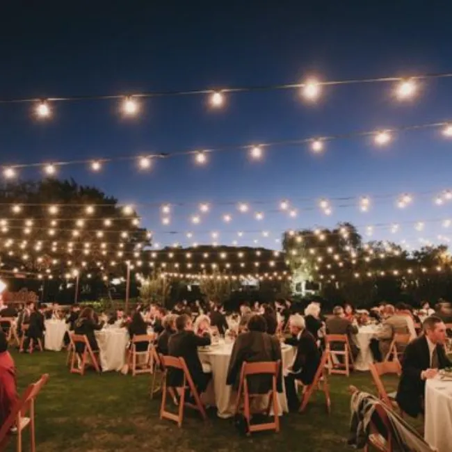 Guirlande guinguette pour sublimer votre domaine