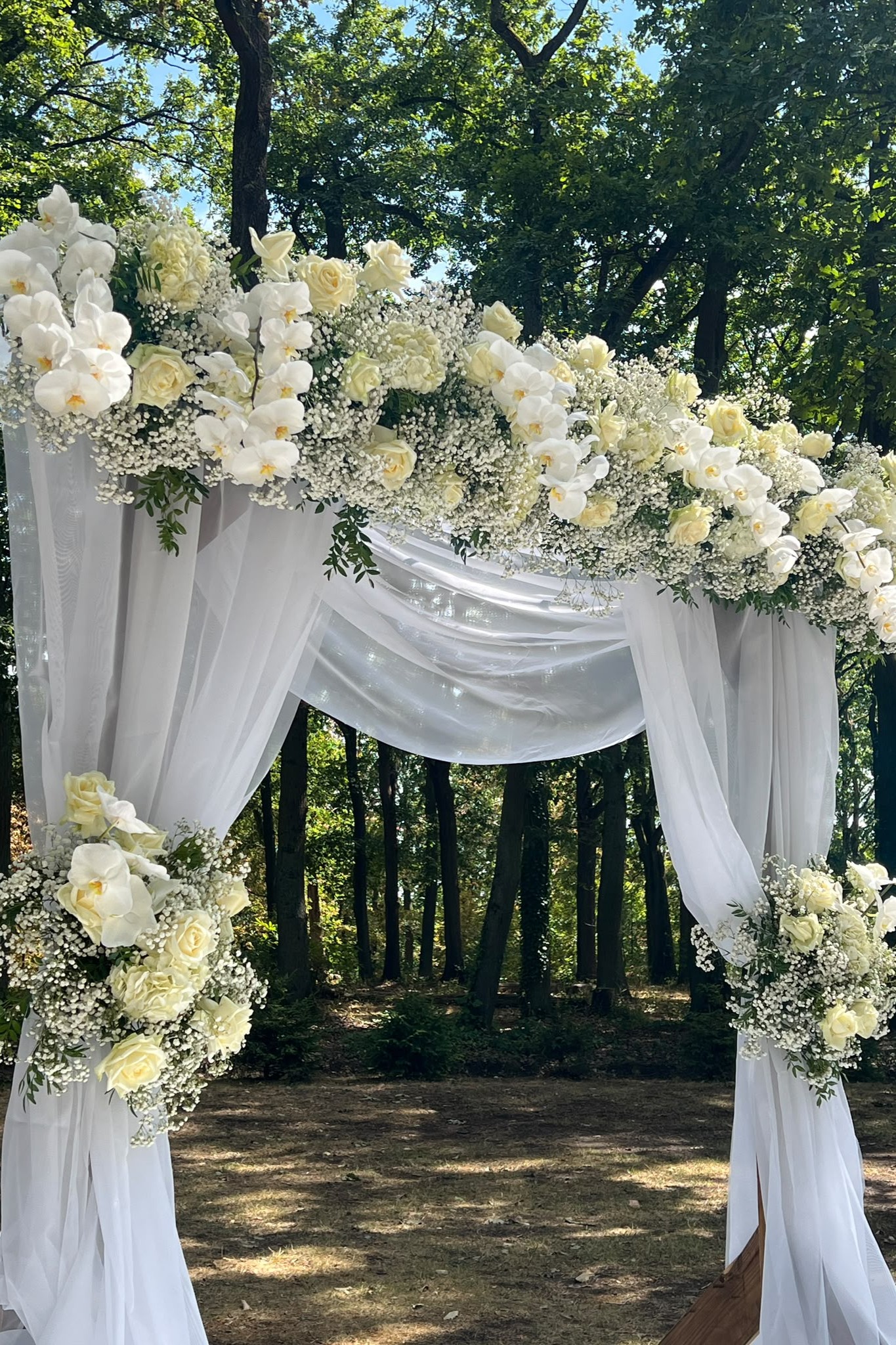 Arche mariage orchidée idf